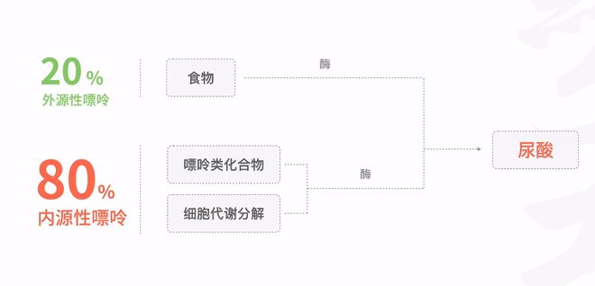 YY易游：健身最常见的4个副作用你中招了几个？(图6)