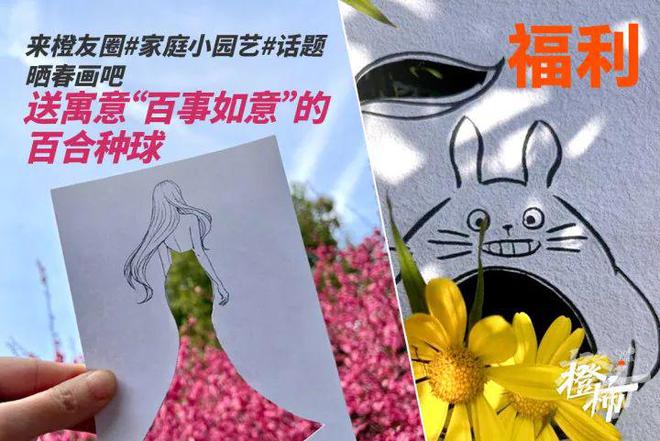 YY易游：杭州市民卡臻礼兑换券、石矶娘娘冰箱贴、五星酒店自助餐券……橙柿送好礼(图3)
