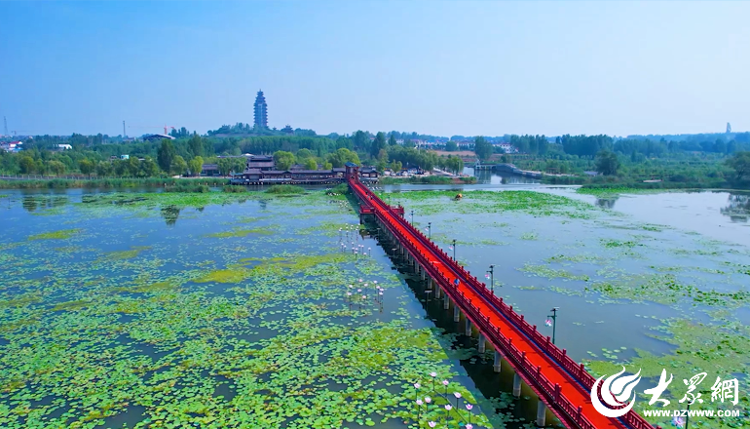 YY易游体育：众观济宁丨济宁跑着跑着就“圈粉”了(图22)
