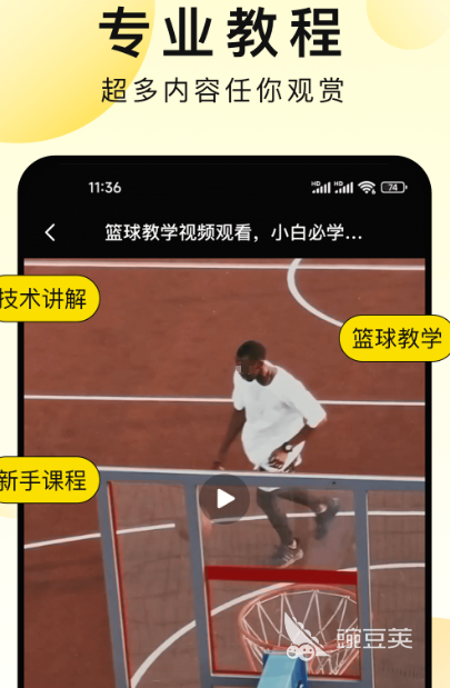 YY易游：免费健身软件有哪些免费健身app大全(图5)