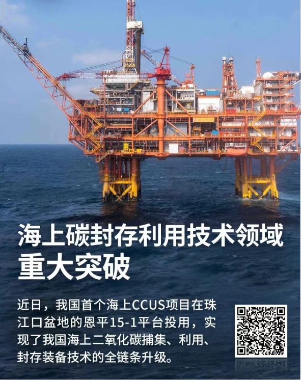 中德双城同日击桨荆州龙舟走向世界(图6)
