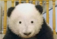流言板]詹姆斯现身阿克伦附近健身馆并与一众学员合影(图4)