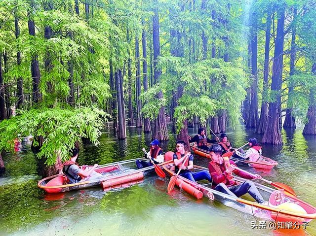 广东肇庆成功举办2025年全国田径大奖赛（第1站）(图2)