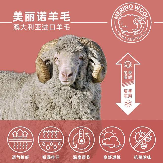 春夏新品丨美丽诺羊毛袜3双仅109元！轻薄防臭+排汗黑科技舒适通勤健身全搞定(图2)