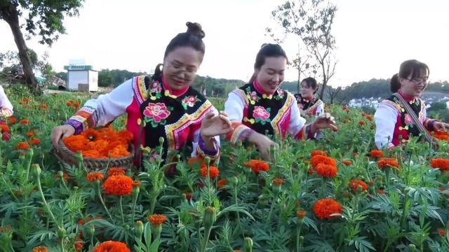 新华视点｜“热”力四射！暑期多元业态激发经济新活力(图9)