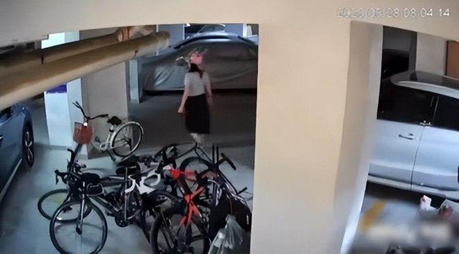 女子推倒自行车后续：已立案车损报价比电车贵女子回应太霸道(图5)