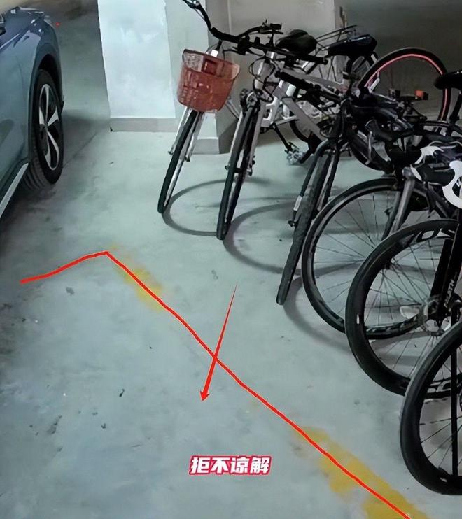 女子推倒自行车后续：已立案车损报价比电车贵女子回应太霸道(图6)