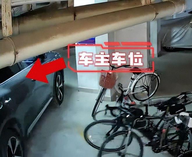 女子推倒自行车后续：已立案车损报价比电车贵女子回应太霸道(图7)