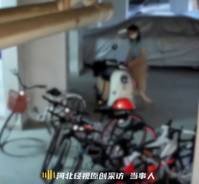 女子推倒自行车后续：已立案车损报价比电车贵女子回应太霸道(图10)