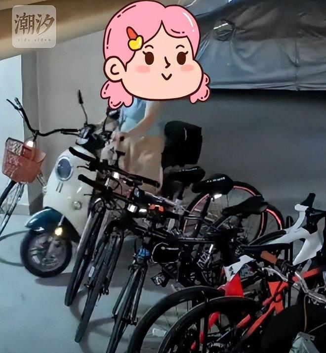 女子推倒自行车后续：已立案车损报价比电车贵女子回应太霸道(图9)