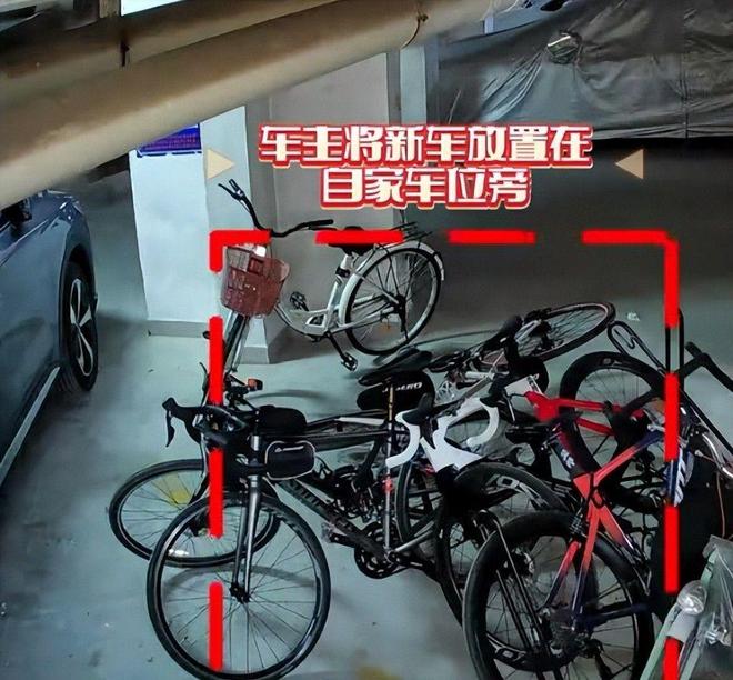 女子推倒自行车后续：已立案车损报价比电车贵女子回应太霸道(图8)