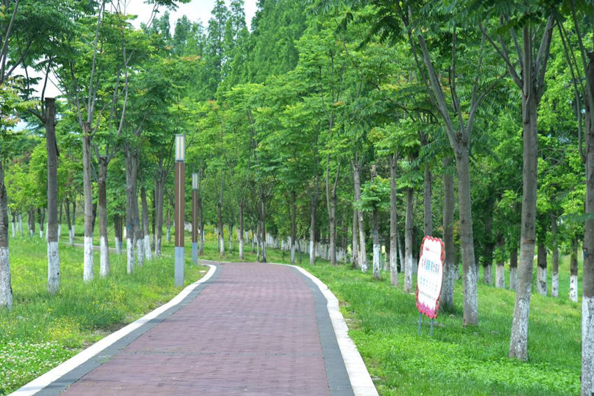 YY易游：推窗见绿、出门入园解码四川洪雅全民健身幸福密码(图1)