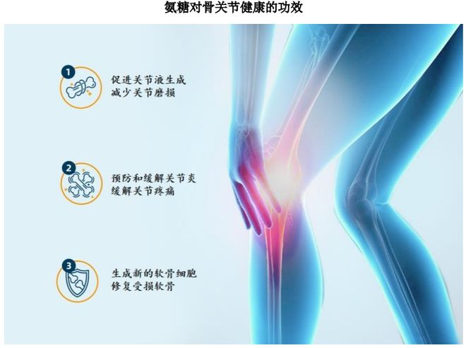 YY易游体育：HMB全球龙头技源集团：扎根运动健康赛道凭多元布局赢长远未来(图3)