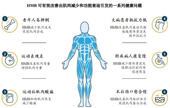 YY易游体育：HMB全球龙头技源集团：扎根运动健康赛道凭多元布局赢长远未来(图2)
