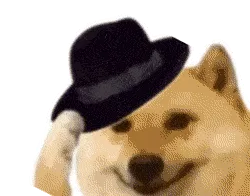 YY易游体育：看到张昊苦练投篮争取一季出几次集锦吧。(图3)