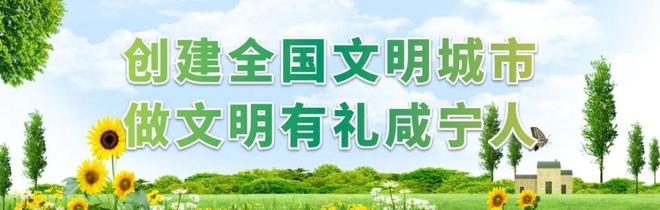 2025年湖北省“百镇千村”全民健身系列赛事活动通山县九宫山镇运动会举办(图9)