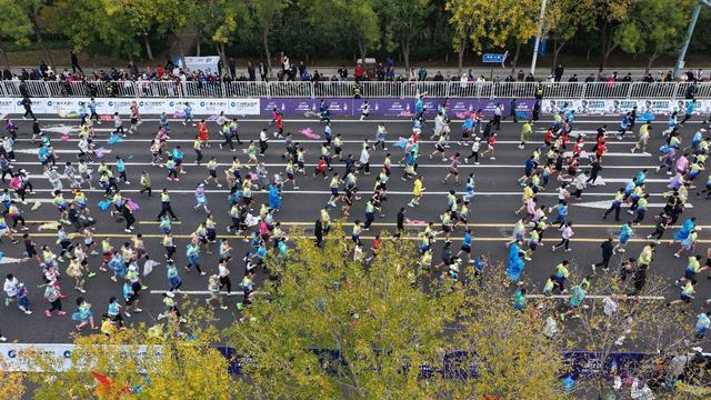 2025黄河口（东营）马拉松举办(图2)