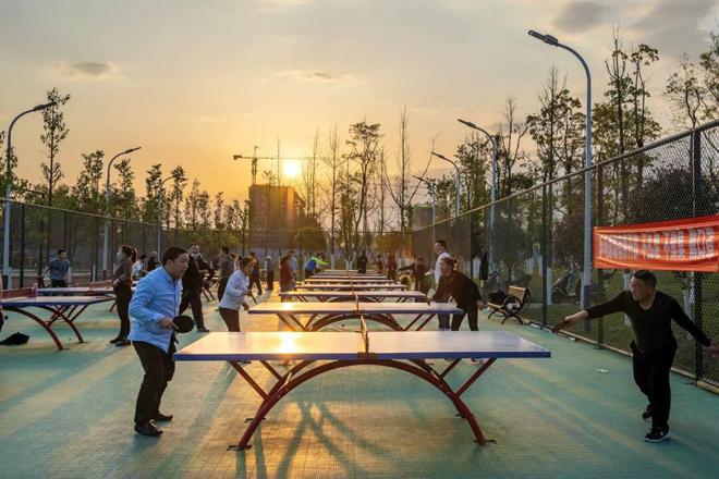 全国先进！崇州上榜(图2)