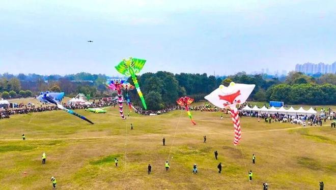 全国先进！崇州上榜(图5)