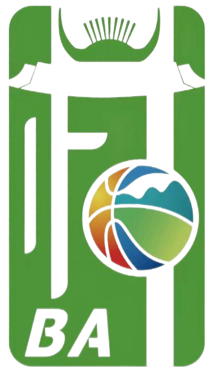 2026年“村BA”球王争霸赛全国赛开始报名！(图1)