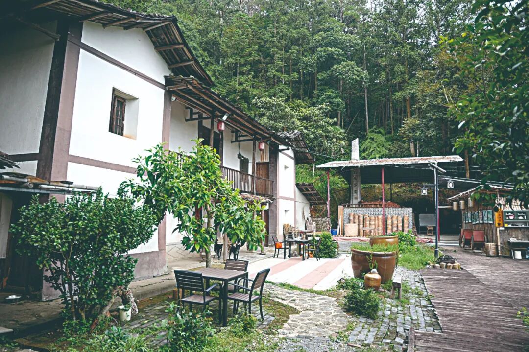 资源变资产产业聚合力德化书写乡村共富实践答卷(图6)