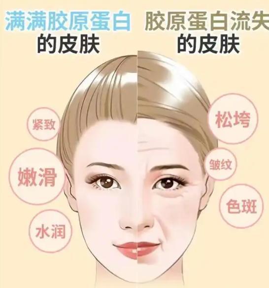 YY易游体育：胶原蛋白肽多大分子量的好吸收？最值得尝试的10大胶原蛋白肽品牌第四代工艺夺魁(图4)