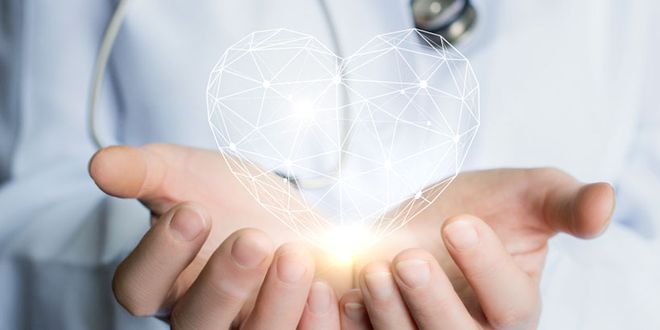 YY易游体育：健身餐竟变折寿餐？哈医大最新发现：高蛋白饮食或将缩短寿命27%(图5)