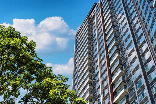 YY易游体育：⏳发布新世界星辉售楼处发布：王炸引爆楼市(图10)