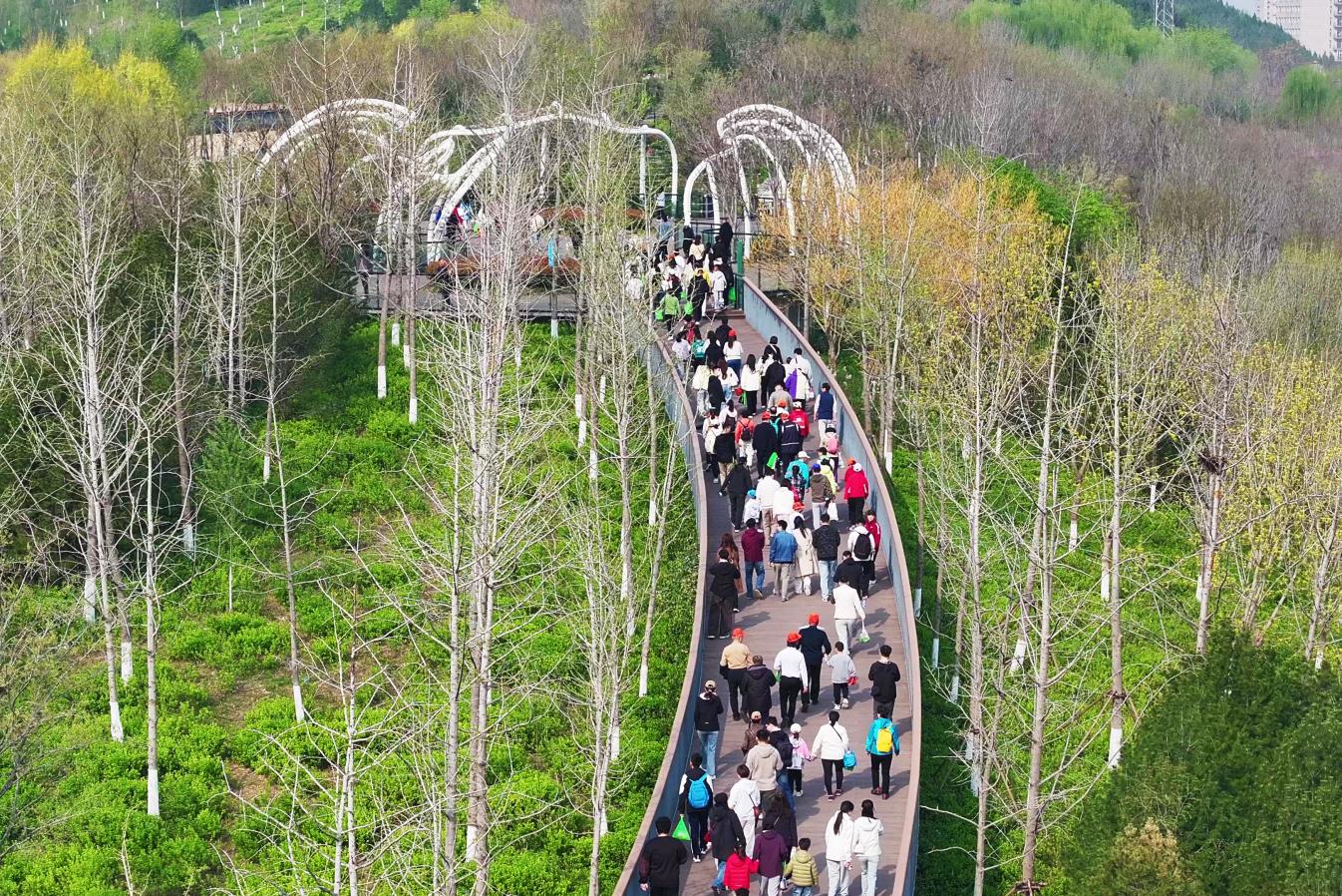 2026“一城山色·登山打卡”首站走进茂陵山(图2)