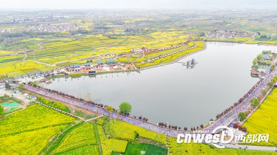 YY易游体育：3000名选手感受最美赛道2026汉中半程马拉松激情开跑(图3)