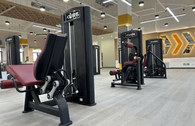 YY易游：企业健身房器材供应商5大维度全方位深度拆解(图6)